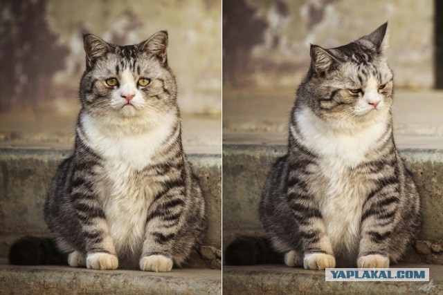 Лучшие фотографии года