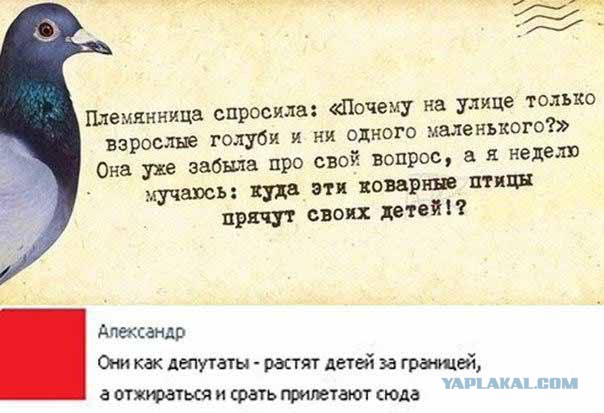 Картинки из сети