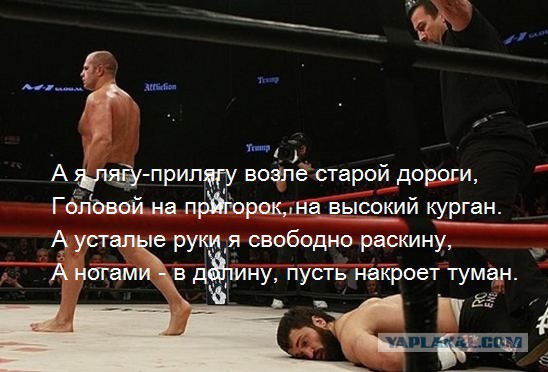 Вышел на бой с Емельяненко и чёт приуныл...