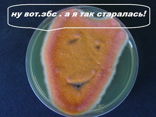 Истории от врачей 20