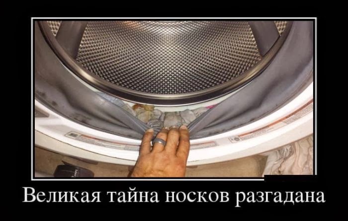 Картинки по запросу куда уходят носки юмор