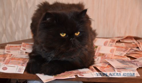 25 Самых богатых людей из соц сетей