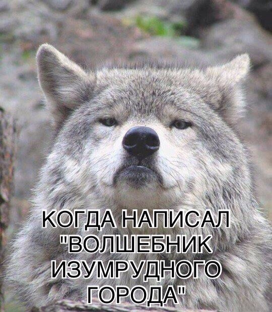 Придет серенький волчок
