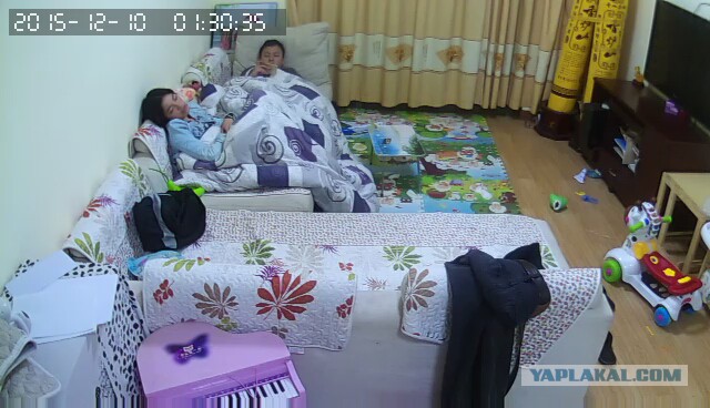 За что я люблю китайцев