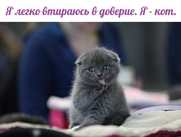 А давайте улыбнёмся
