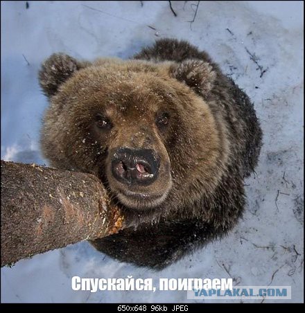 Пьяная девушка на корпоративе
