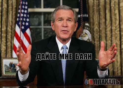 Все о БУШЕ