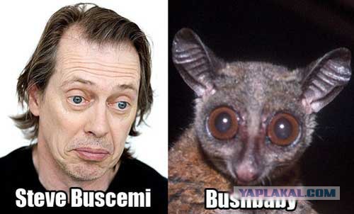 Бывают в жизни совпадения