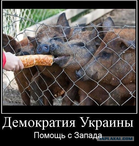 Юнкер: Украина не сможет стать членом ЕС лет 25