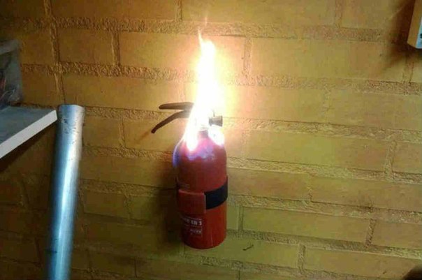 Забавные картинки из Сети