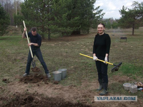 Хорошо иметь домик в деревне. История из жизни.