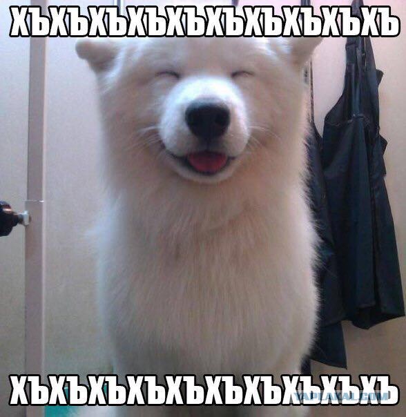 Синтольный уродец Вадир