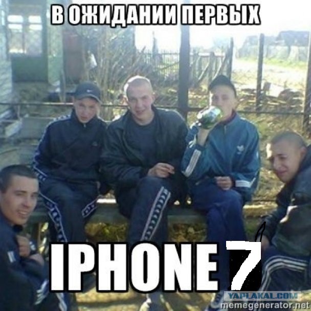В мире животных