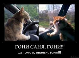 Гони гони гони скорей, Путин едет! Ижевск