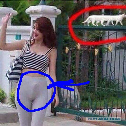Что это?