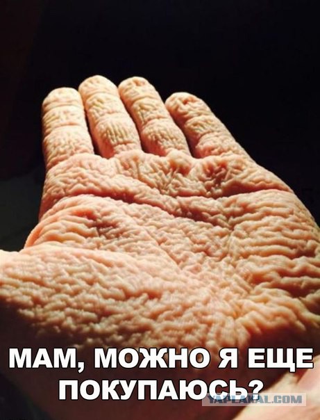 Немного пошлятины. Юмор для взрослых