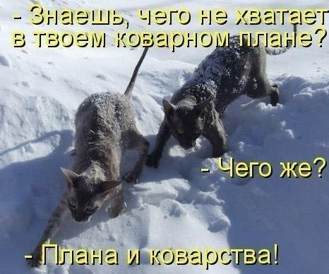 Самые смешные животные