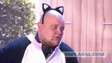 Дурацкие причёски