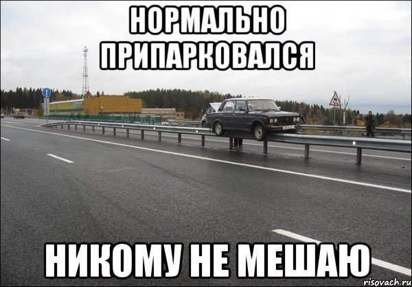 Подборка безудержного веселья