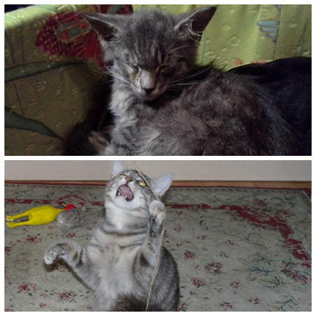 Он лежал возле гаражей в 2-х метрах от мусорного бака...