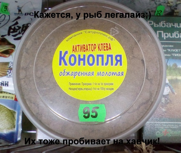 Подборка безудержного веселья
