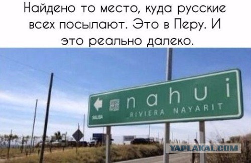 Подборка интересных и веселых картинок