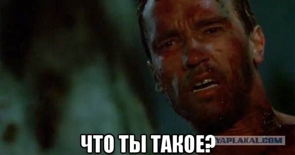 Рогозин объявлен персоной нон грата.