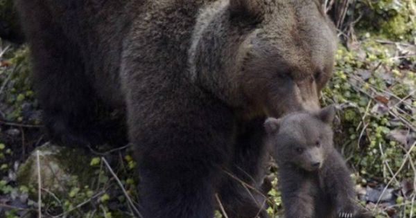 Удивительные снимки с российских просторов