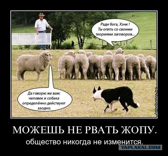 На тему прививок