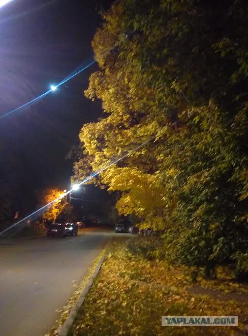 Просто Природа