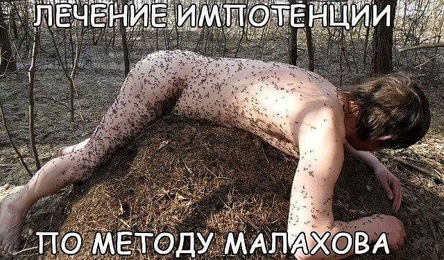 Картинки для настроения