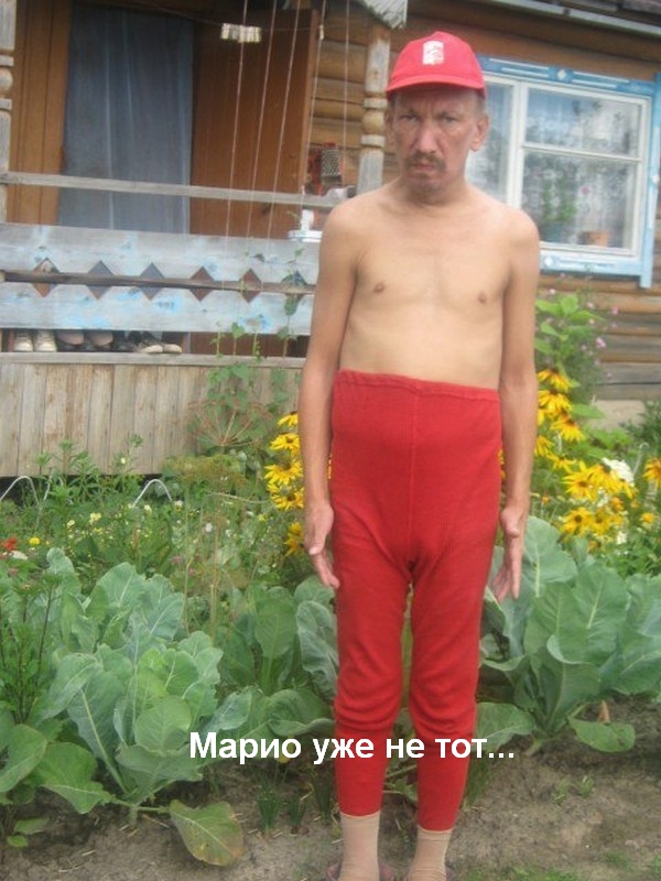 Вестник социальных сетей