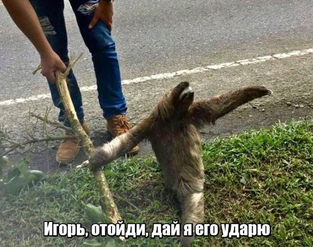 Нестандартный юмор