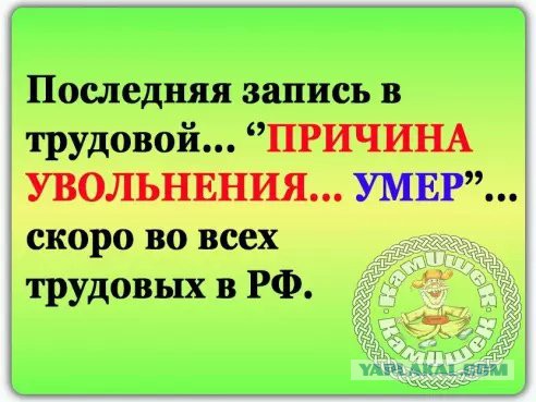 Смешные комментарии из социальных сетей 20.07.2018
