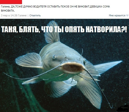 Ничего особенного, просто девушка на рыбалку пошла.
