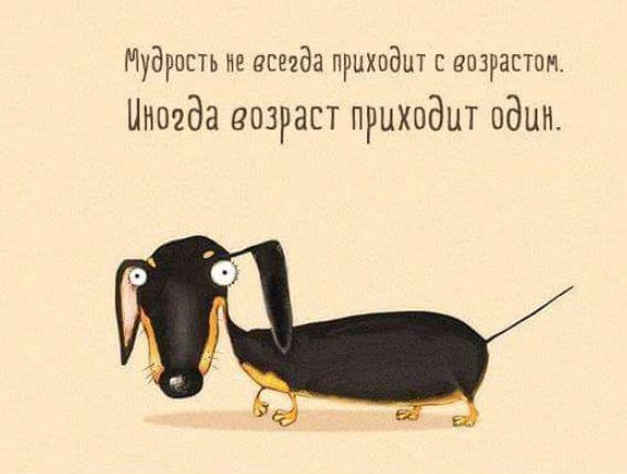 Станет ли Путин рождественским поросенком?