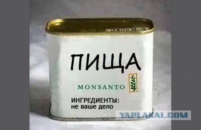 Замучила коррупция