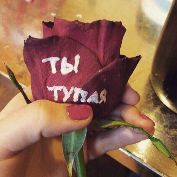 WTF: что тут происходит?