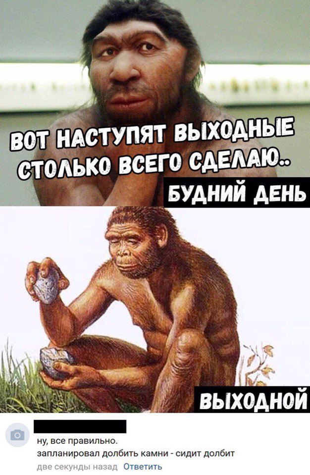 Смешные комментарии из социальных сетей 12.10.2018