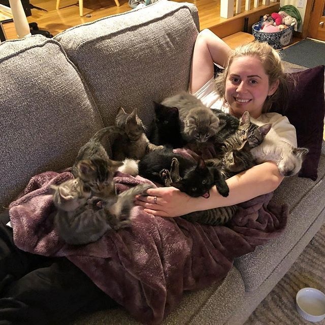 Прикольных котов пост