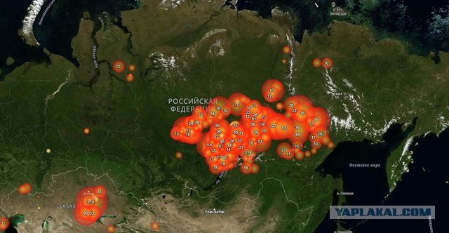 «Горящая Сибирь» — о кликбейте и суровой реальности
