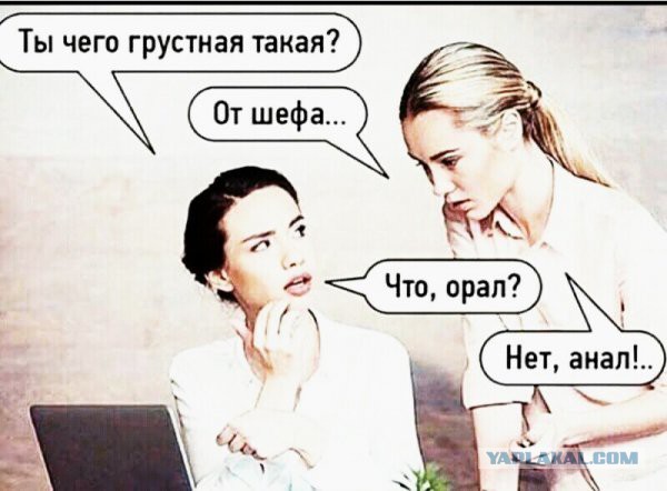 Бабы дуры. Примеры  из одного прошлого романа