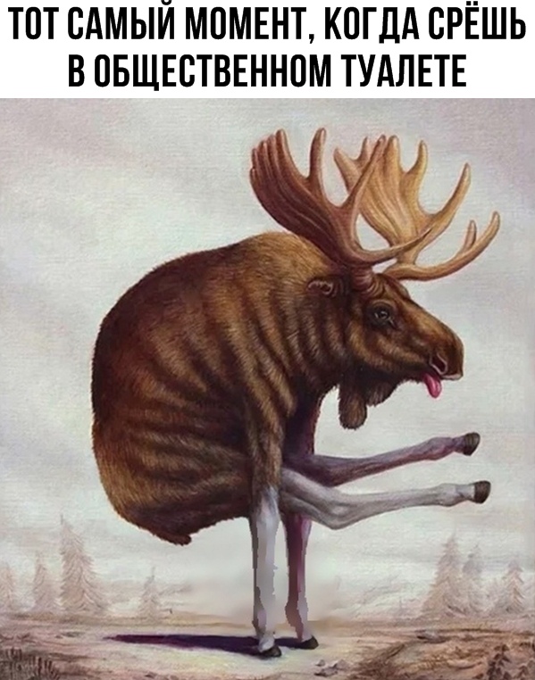 Бредзона 10.01.2020