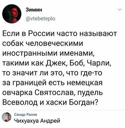 Бредзона 23.01.2020