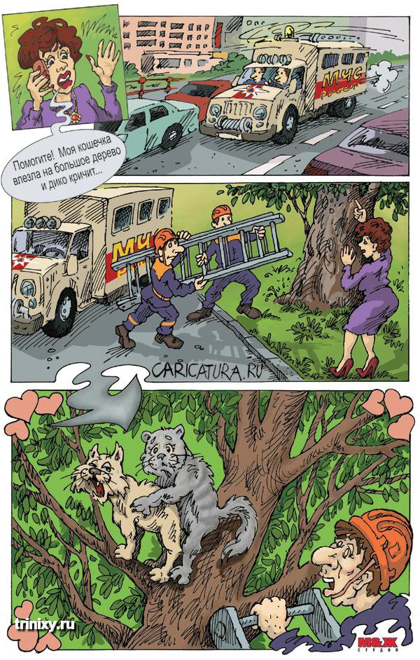 Бредзона 02.05.20