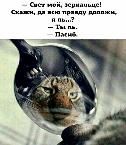 Немного картинок 29.05.20