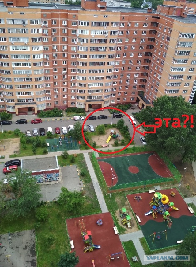 Дурацкие картинки 15.08.20