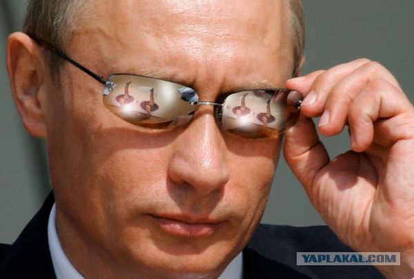 Ноги.Фотожаба