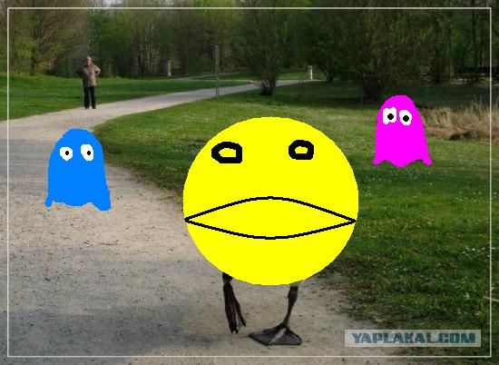 Фотожаба: Я от дедушки ушел, я от бабушки ушел