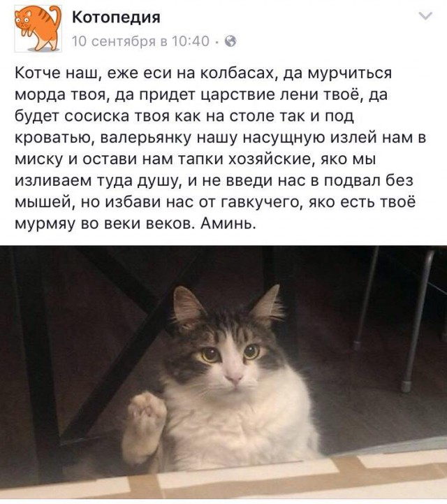 Старые картинки, продолжение